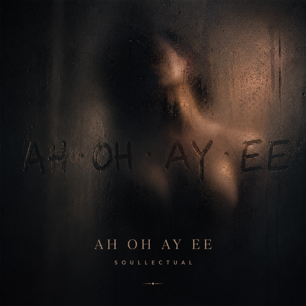 Ah Oh Ay Ee artwork — a silhouette of a figure visible through frosted or condensation-covered glass, with the title AH OH AY EE and SOULLECTUAL at the bottom